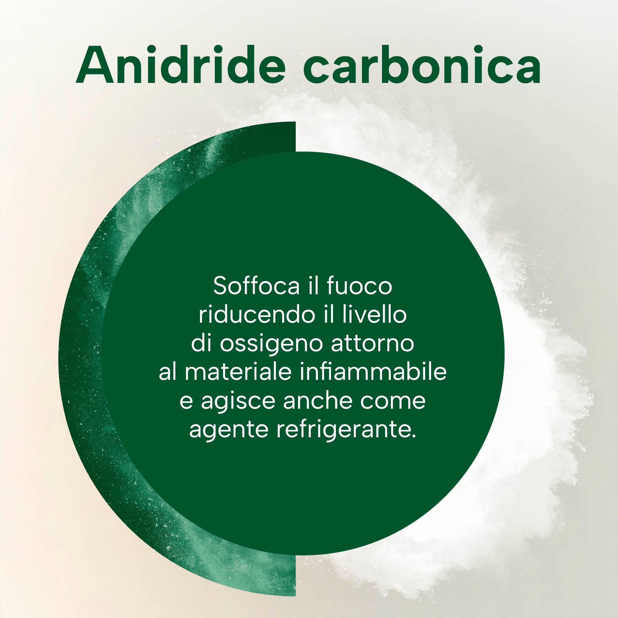 Biossido di Carbonio (CO2)